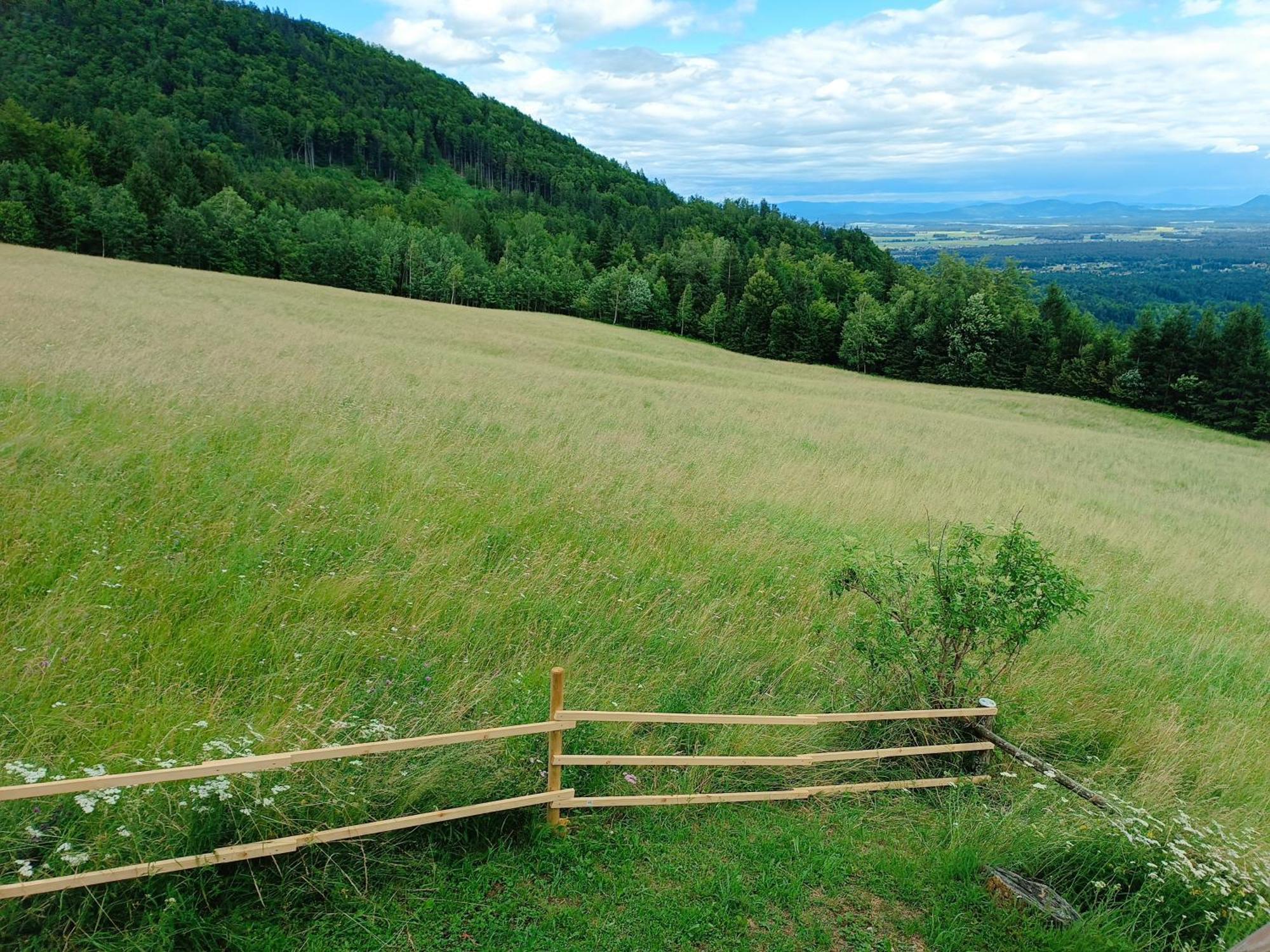 Kralj Matjaz - The Green Escape Under Alps Golnik Eksteriør bilde