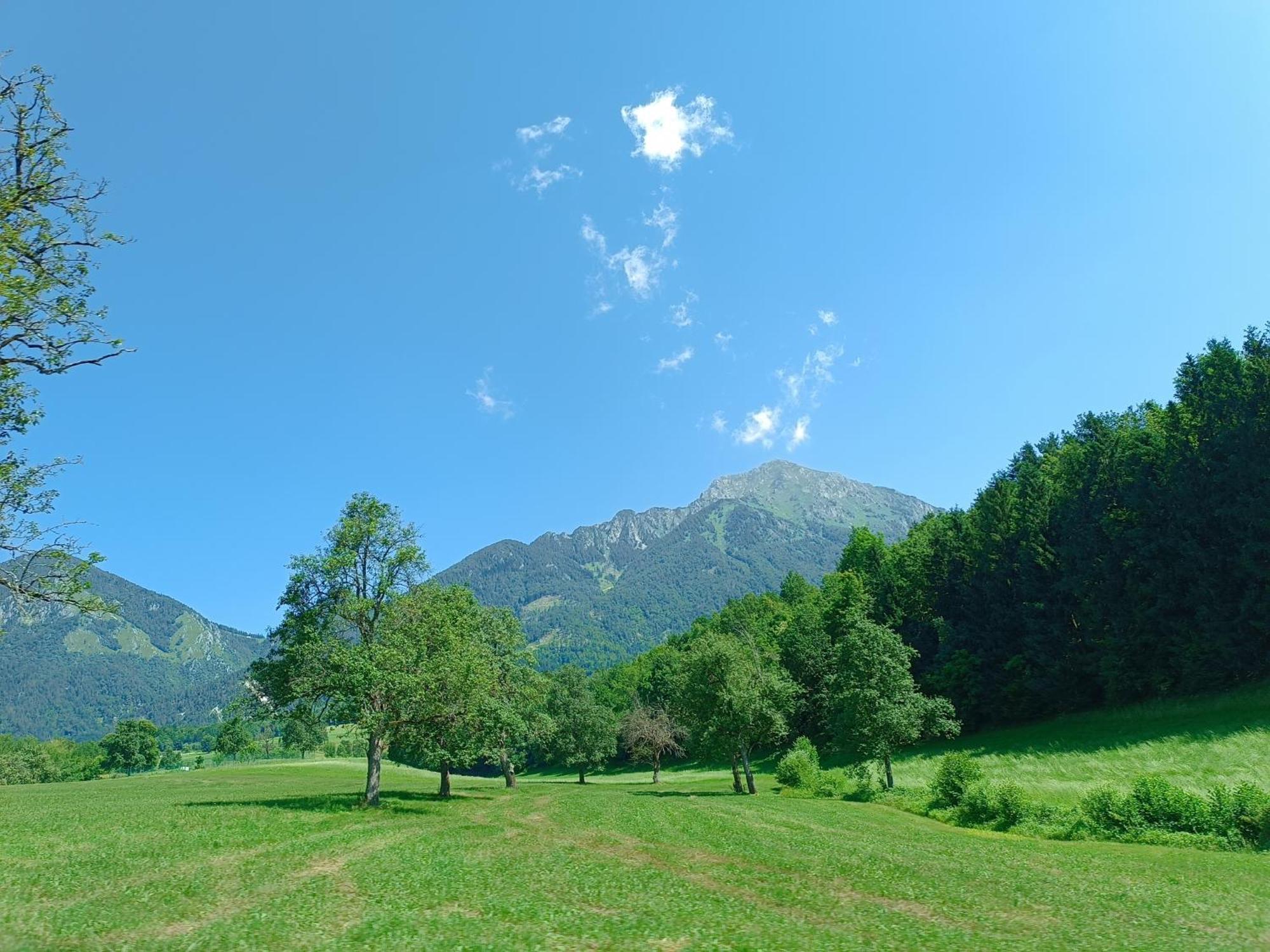 Kralj Matjaz - The Green Escape Under Alps Golnik Eksteriør bilde